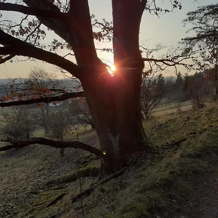Ferienwohnung Am Wald *